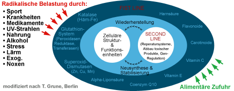 Behandlung von Vitaminmangel und Vitalstoffmangel